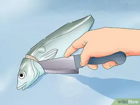 Image intitulée Clean_Gut a Fish Step 10