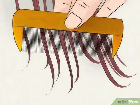 Image intitulée Get Rid of Head Lice Overnight Step 9