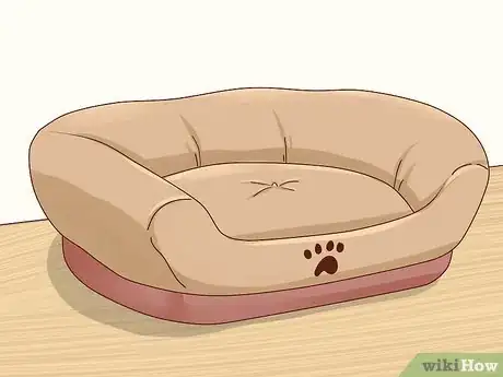 Image intitulée Keep Pets off the Furniture Step 1