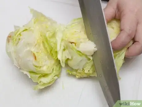 Image intitulée Shred Lettuce Step 16