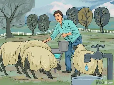 Image intitulée Care for Sheep Step 10