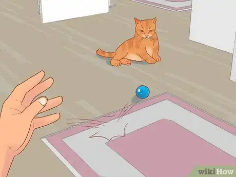 Image intitulée Prevent Cats from Eating Plants Step 9