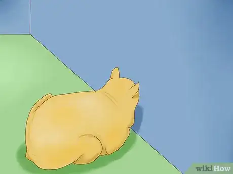 Image intitulée Understand Your Cat's Body Language Step 7