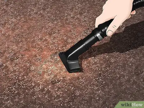 Image intitulée Clean Up Vomit Step 13