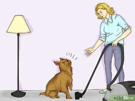 Image intitulée Teach Your Pet Not to be Scared of the Vacuum Cleaner Step 11