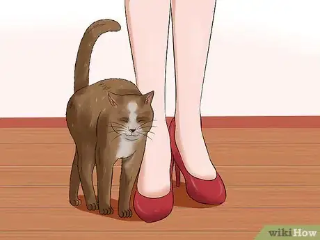 Image intitulée Deal With a Female Cat in Heat Step 3