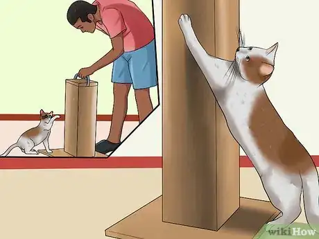 Image intitulée Stop a Cat from Chewing Step 16