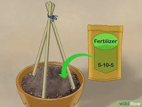 Image intitulée Grow Cucumbers in Pots Step 7