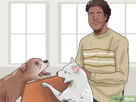Image intitulée Break Up a Dog Fight Step 4