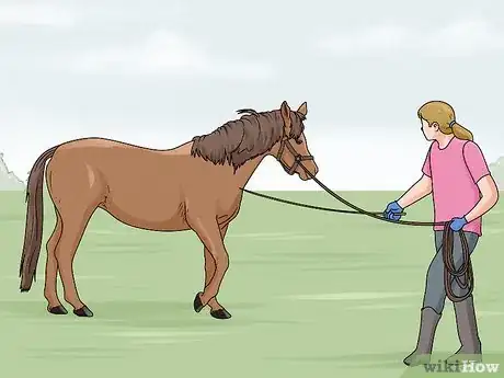 Image intitulée Lunge a Horse Step 17