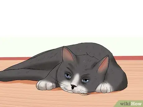 Image intitulée Know if a Cat Is Stressed Step 6