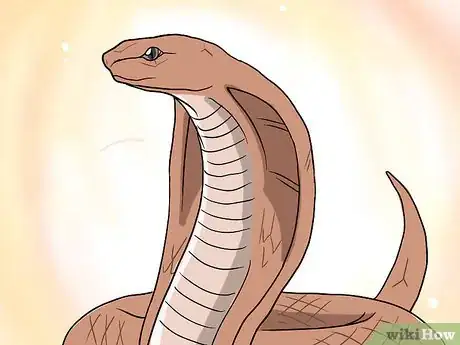 Image intitulée Choose Your First Pet Snake Step 1Bullet4