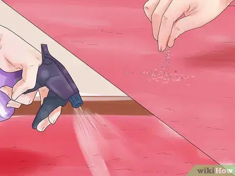 Image intitulée Remove Pet Urine from Carpet Step 18