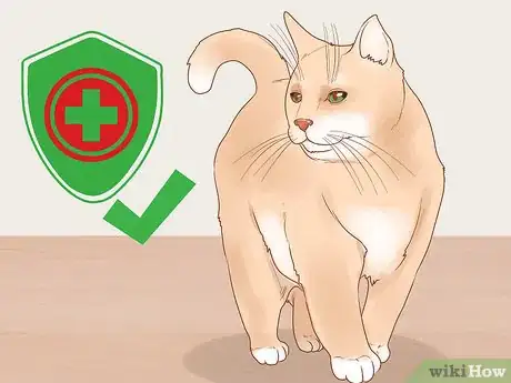 Image intitulée Train a Therapy Cat Step 14