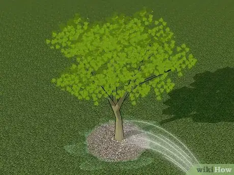 Image intitulée Plant Redbud Trees Step 9