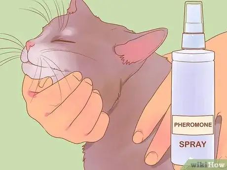 Image intitulée Reduce Stress in Cats Step 22