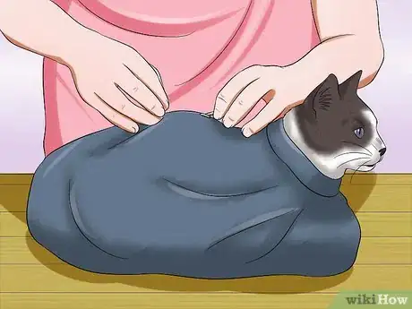 Image intitulée Use a Cat Comfort Bag Step 12