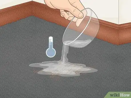 Image intitulée Remove Permanent Hair Dye from Carpets Step 10