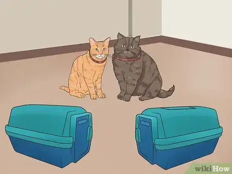 Image intitulée Bring a Second Cat Into the Family and Not Make Your Old Cat Upset Step 5