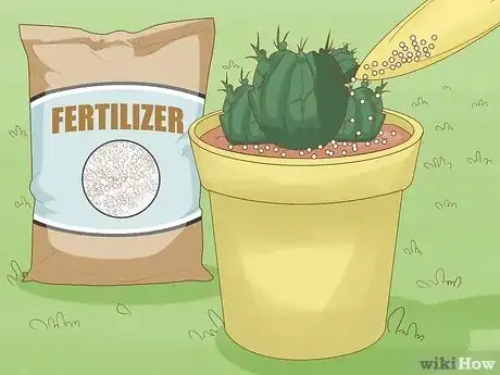Image intitulée Grow a Cactus Step 11