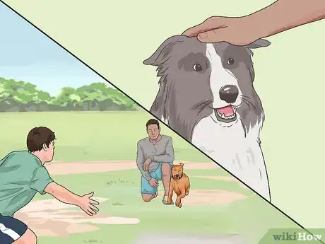 Image intitulée Train a Dog to Come Step 13
