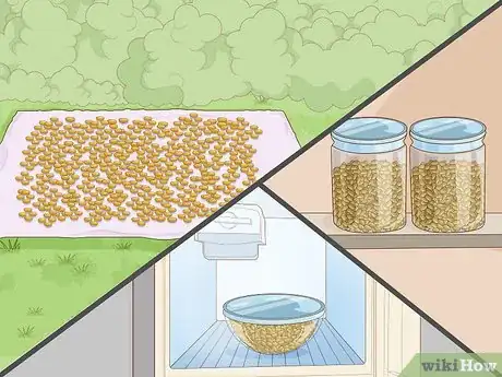 Image intitulée Grow Soybeans Step 14