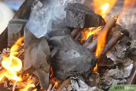 Image intitulée Create a Strong Burning Charcoal Fire Without Lighter Fluid Step 12