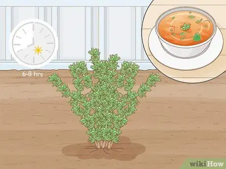 Image intitulée Grow an Herb Garden Indoors Year Round Step 4