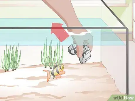 Image intitulée Do a Water Change in a Freshwater Aquarium Step 4