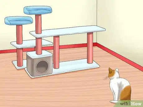 Image intitulée Care for Indoor Cats Step 1