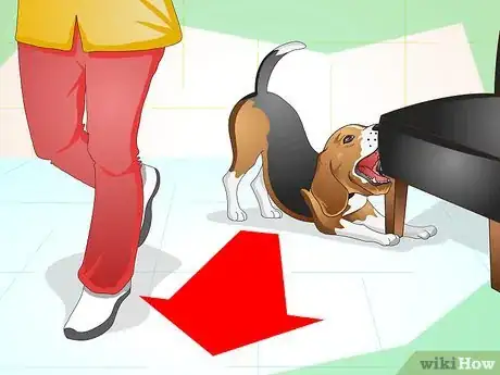 Image intitulée Keep Your Dog Calm Outside His Crate Step 2