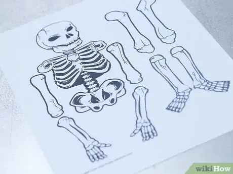 Image intitulée Make a Human Skeleton out of Paper Step 3