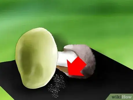 Image intitulée Identify a Death Cap Mushroom Step 6