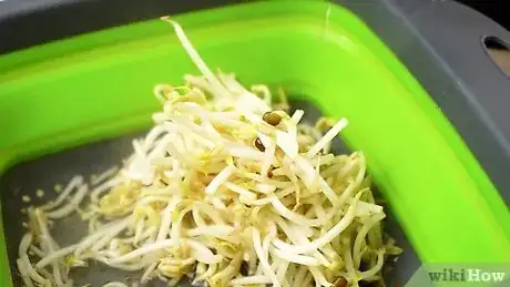 Image intitulée Cook Bean Sprouts Step 7