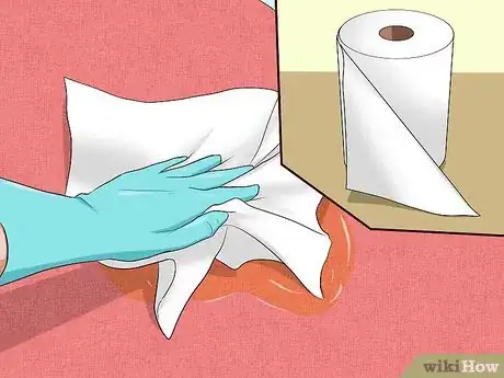 Image intitulée Remove Cat Urine Smell Step 1