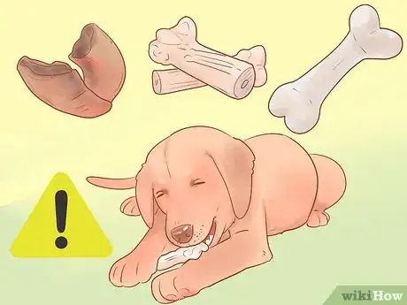 Image intitulée Keep Your Dog's Breath Fresh Step 8