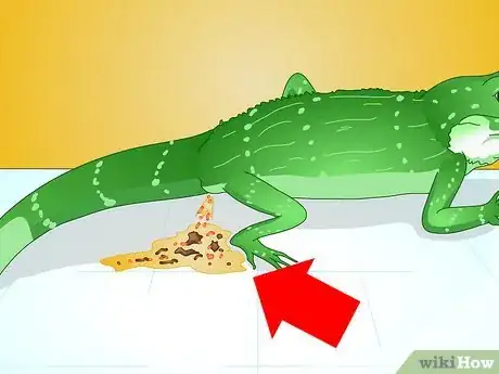 Image intitulée Care for Your Lizard Step 10