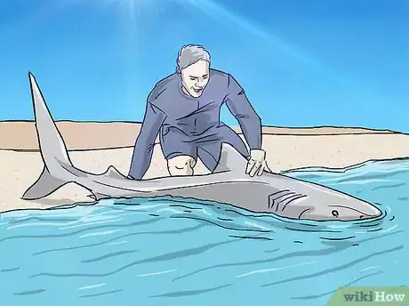 Image intitulée Fish for Shark Step 6