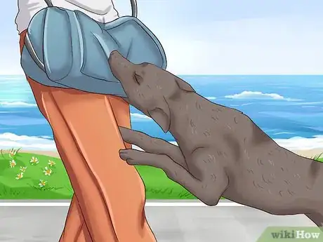 Image intitulée Prevent Dog Bites Step 4
