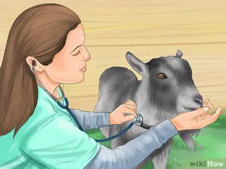 Image intitulée Care for Pygmy Goats Step 18