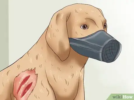 Image intitulée Prevent Dog Bites Step 19