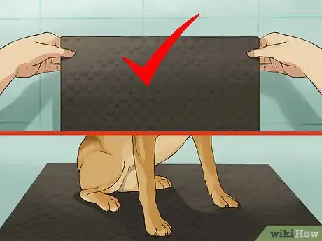 Image intitulée Give a Small Dog a Bath Step 4