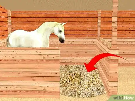 Image intitulée Look After a Horse Step 2