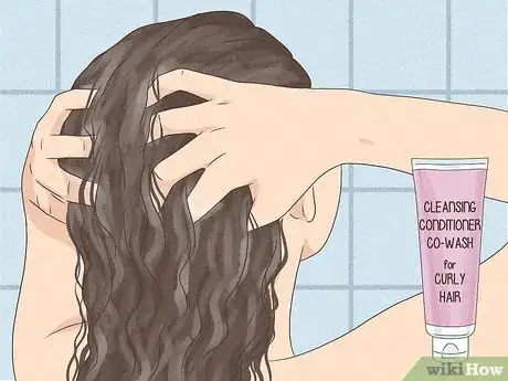 Image intitulée Define Curly Hair Step 1