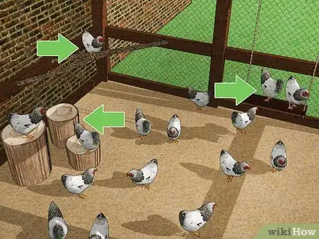 Image intitulée Keep Chickens from Eating Their Own Eggs Step 4