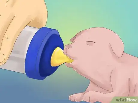 Image intitulée Care for Newborn Puppies Step 34