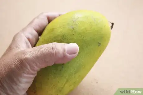 Image intitulée Pick a Good Mango Step 1