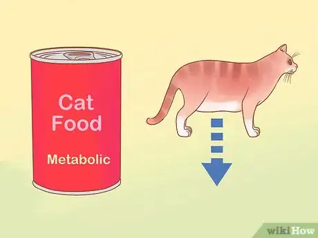 Image intitulée Put Your Cat on a Diet Step 10