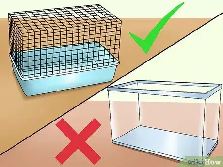 Image intitulée Keep a Hamster Cool in Hot Weather Step 5