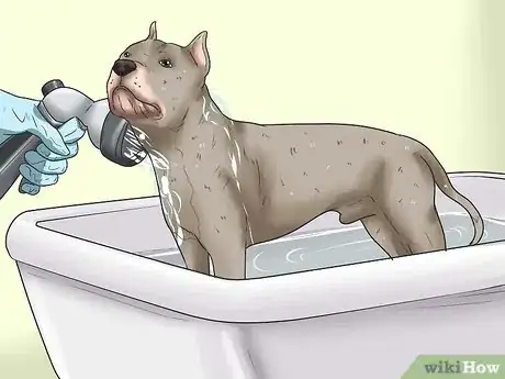 Image intitulée Give Your Large Dog a Bath Step 14